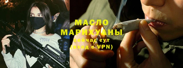 гидра Богородицк
