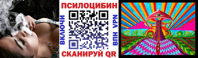 Псилоцибиновые грибы ЛСД  Купить  Магас 